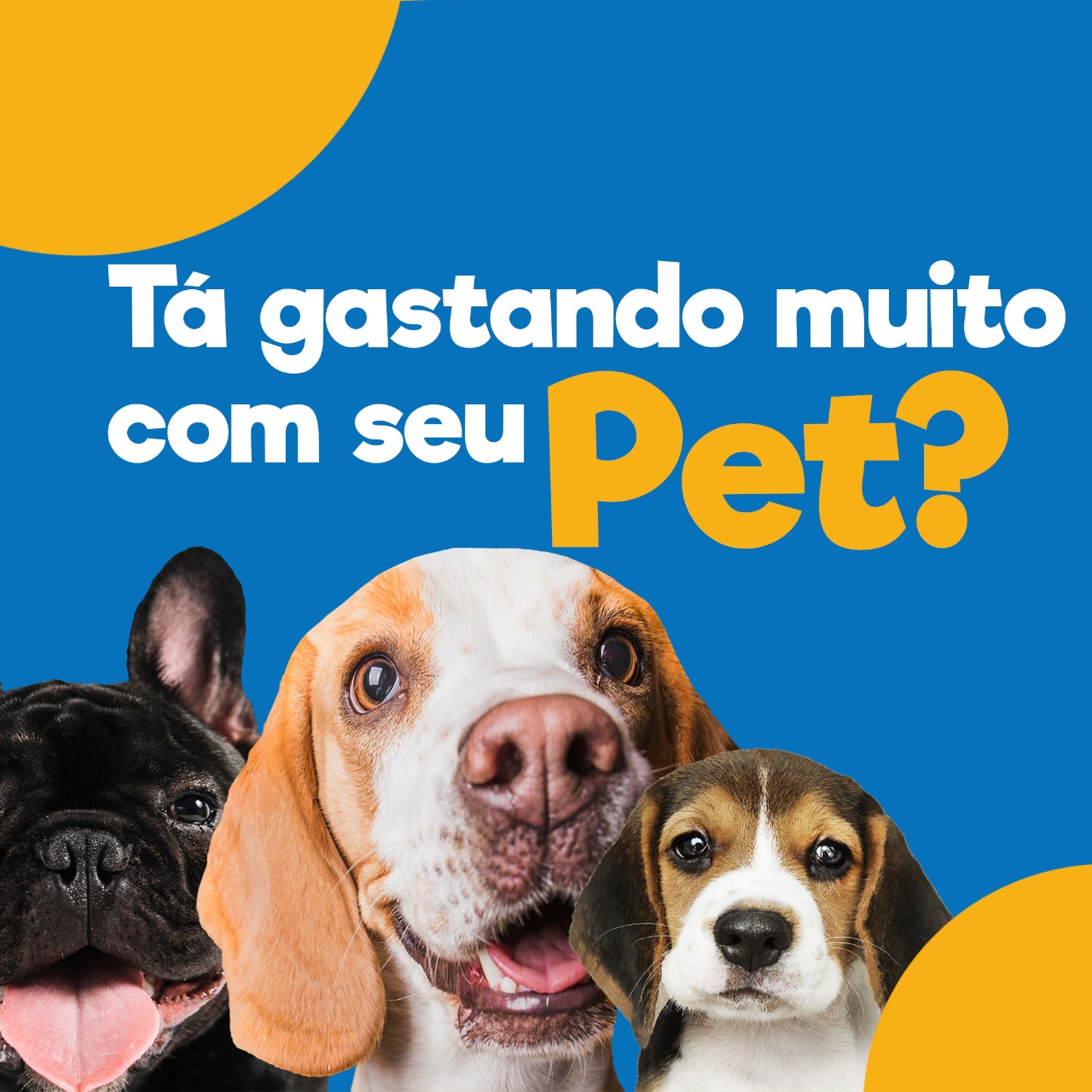 Tá gastando muito com seu Pet?
