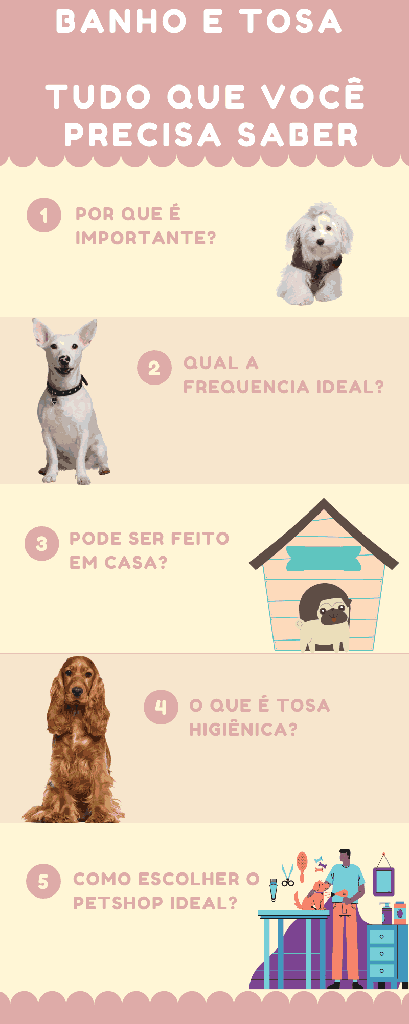 Pet Shop Banho e Tosa perto de mim - Como escolher o correto