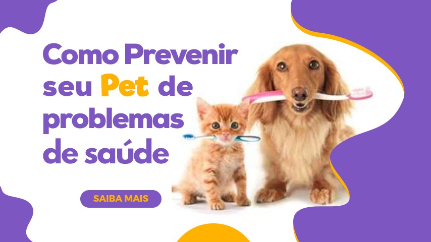 como prevenir problemas de saúde do seu pet como prevenir problemas de saúde do seu pet