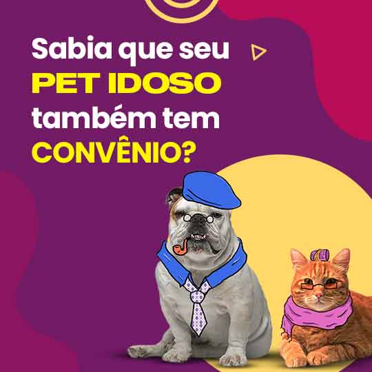 Convênio para o seu Cachorro Idoso! Convênio para o seu Cachorro Idoso!