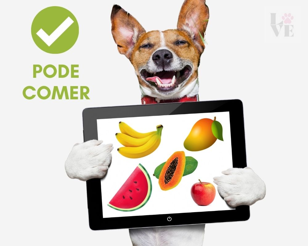 Frutas que cachorro pode comer