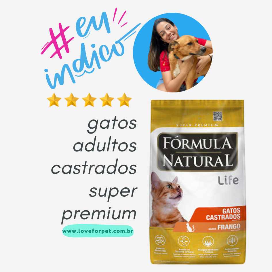 3 rações indicadas para gato castrado!