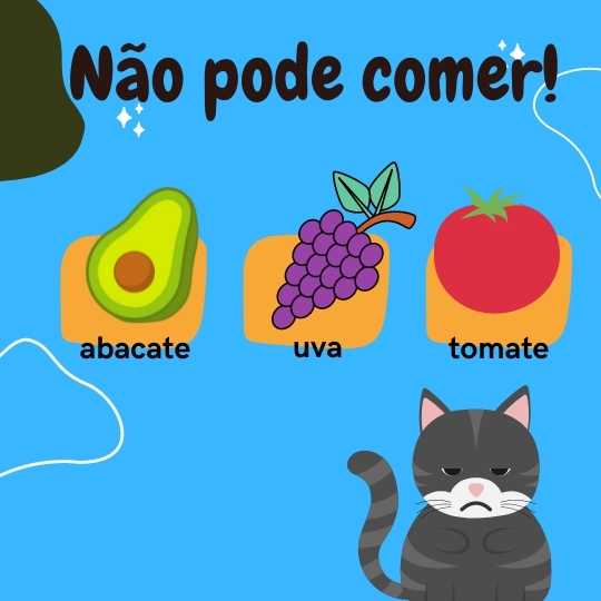 Frutas gato não pode comer?