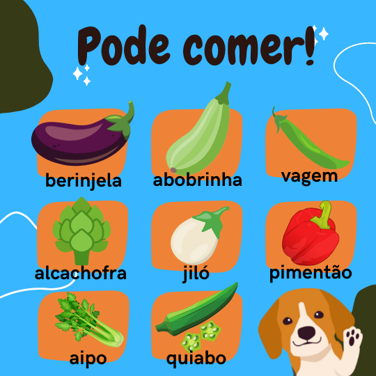 Legumes cachorros podem comer 1/2