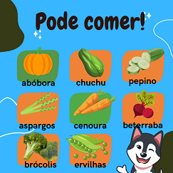 Legumes cachorros podem comer 2/2