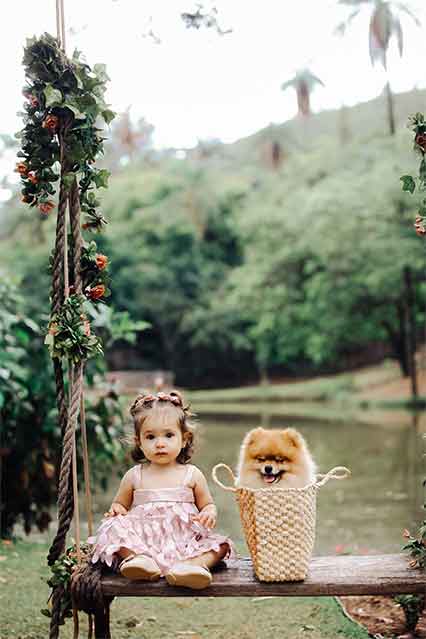 O Lulu da Pomerânia se dá bem com crianças?