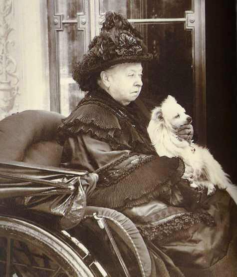 rainha Victoria (1837 – 1901) trouxe da Itália um Spitz de tamanho pequeno