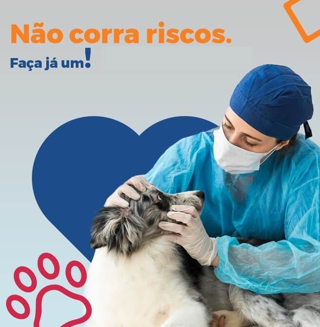 A importância de você investir em um plano de saúde pet!