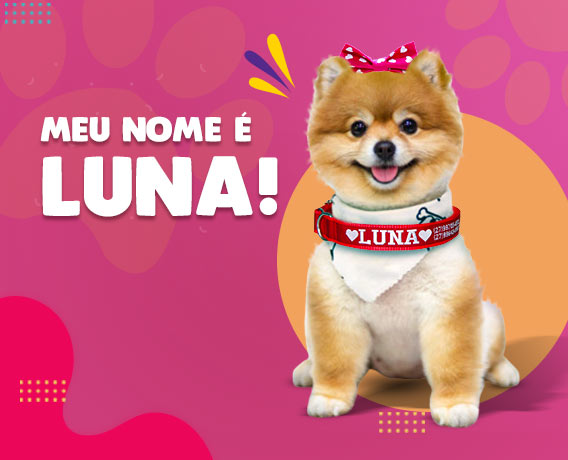 Nome para Cachorro Fêmea! +500 sugestões para você!