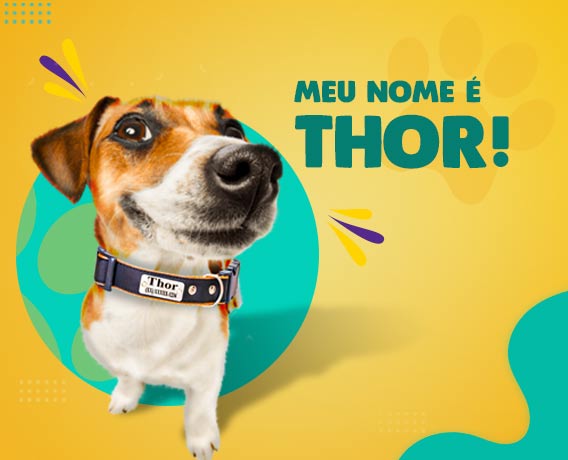 600+ Nomes para Cachorro Macho! Divirta-se Aqui!