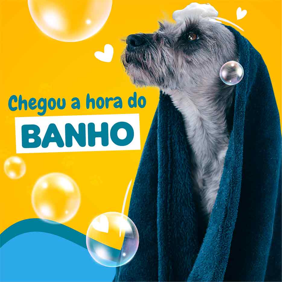 Tem Pet Shop para banho e tosa perto de mim?Love for Pet!