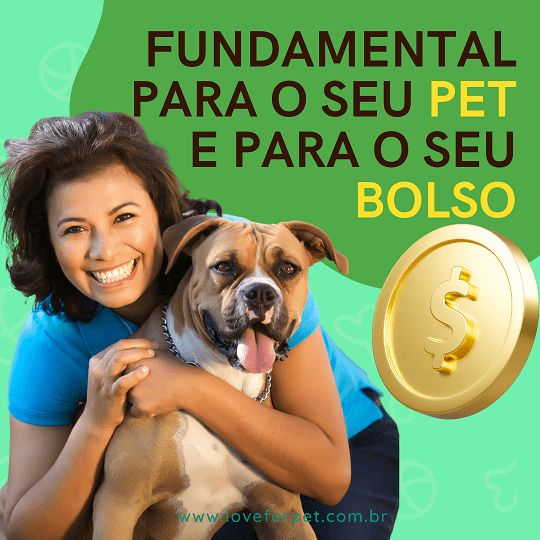 Plano de Saúde para Pet fundamental para o seu pet e para o seu bolso