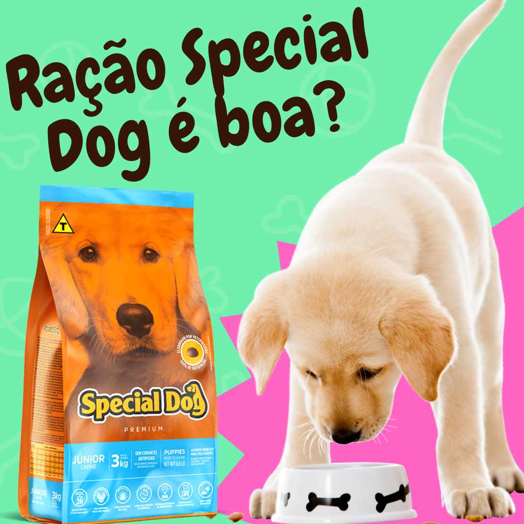 Ração Special Dog é boa?