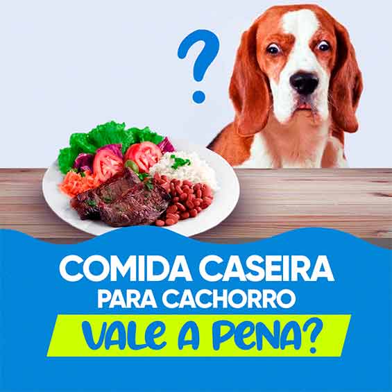 Vale a pena dar comida caseira para cachorro?