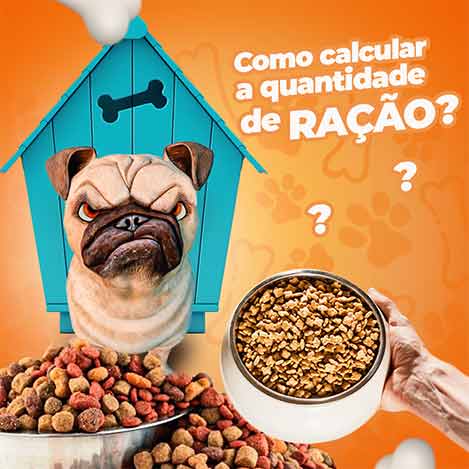 Como calcular a quantidade de ração para cachorro?