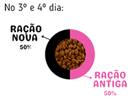 Troca de ração para cachorro 3º e 4º dias