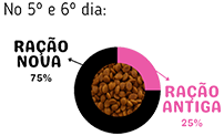 Troca de ração para cachorro 5º e 6º dias