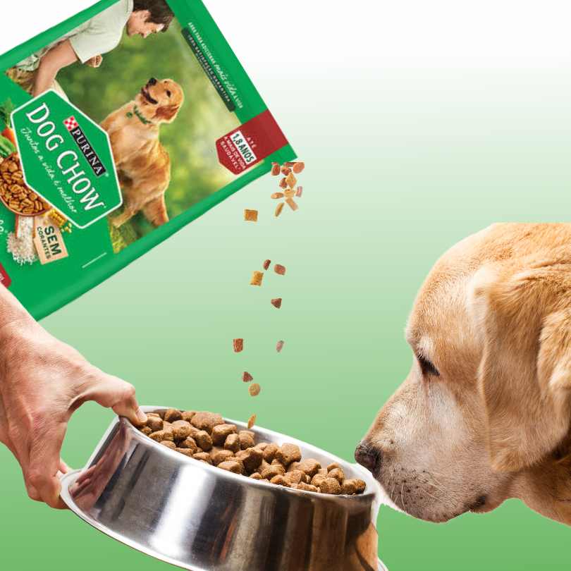 Benefícios da Ração Dog Chow