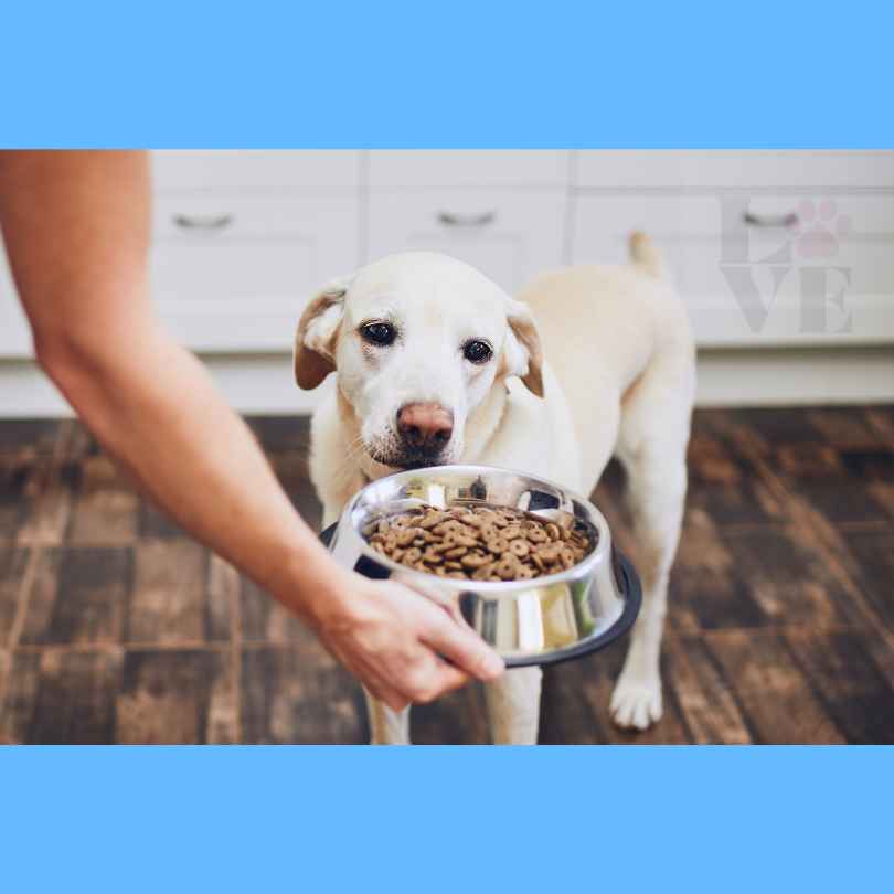 Ração Fórmula Natural para cachorro