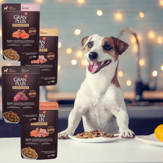 ração Gran Plus Linha Gourmet para cachorro