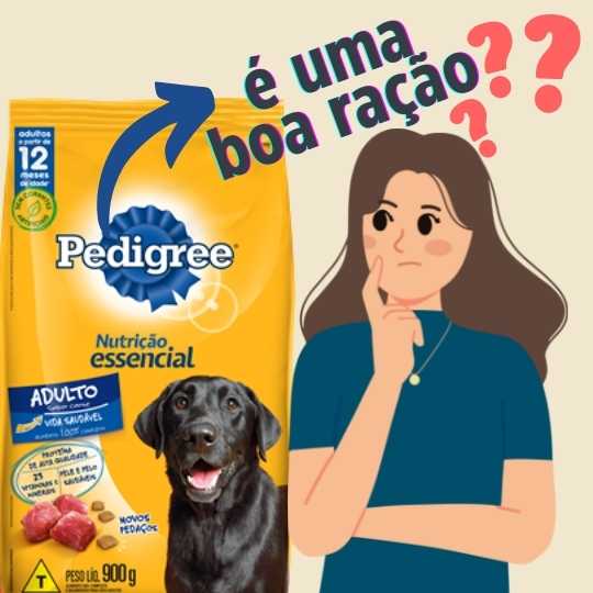 Ração Pedigree é boa?