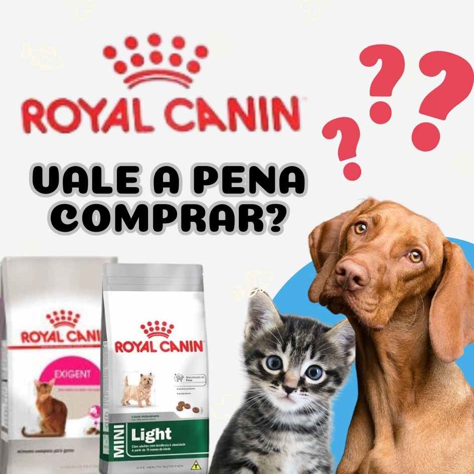 Ração Royal Canin é boa?
