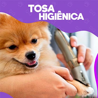 O que é tosa higiênica?