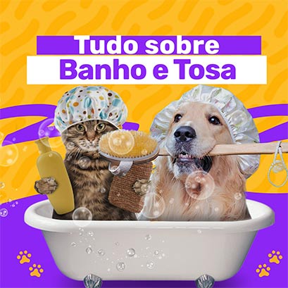 Tudo sobre banho e tosa