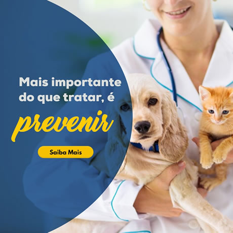 prevenção saúde pet: plano de saude pet São Paulo
