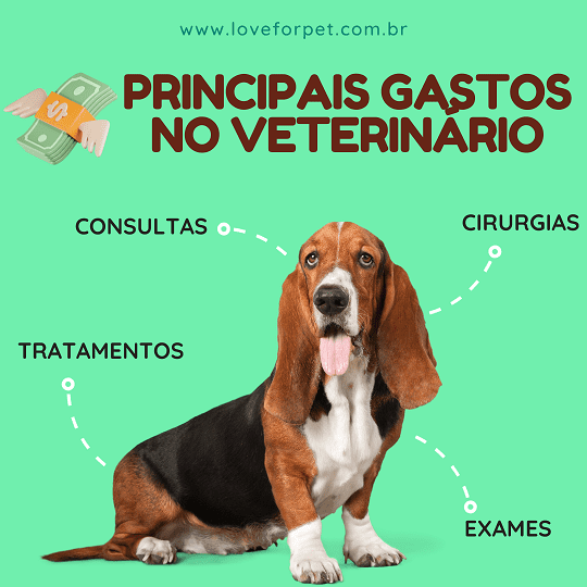 Gastos Veterinários